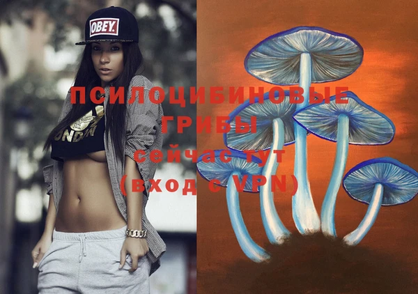 кокаин перу Новодвинск
