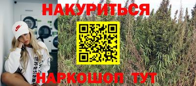 шишки Кинель