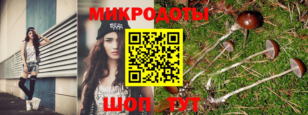 Галлюциногенные грибы прущие грибы Севастополь
