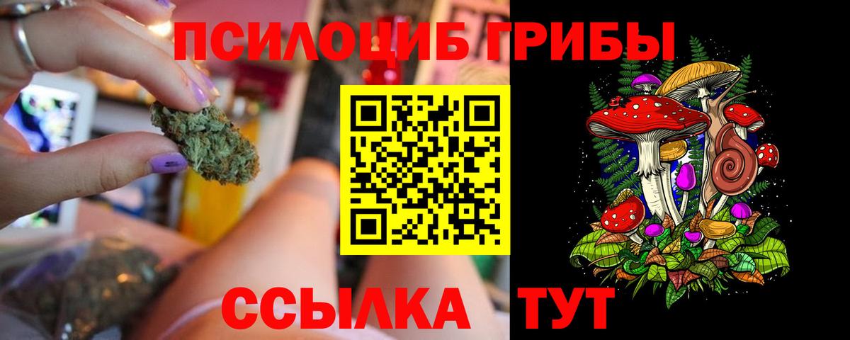 Псилоцибиновые грибы мицелий Севастополь