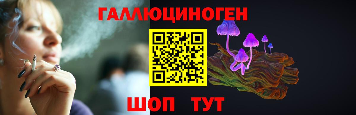Галлюциногенные грибы Psilocybe  Севастополь  Псилоцибиновые грибы мицелий 