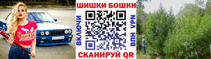 где найти наркотики  Севастополь  Конопля сатива 